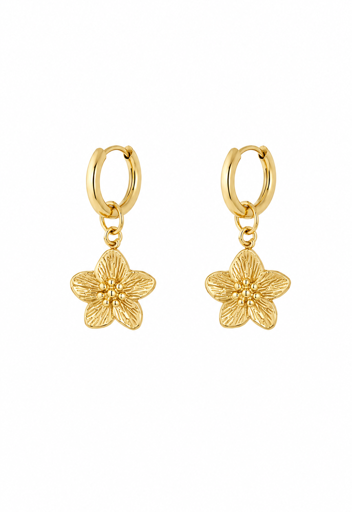 Nova oorbellen (goud)