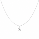 Zeesterren ketting zilver