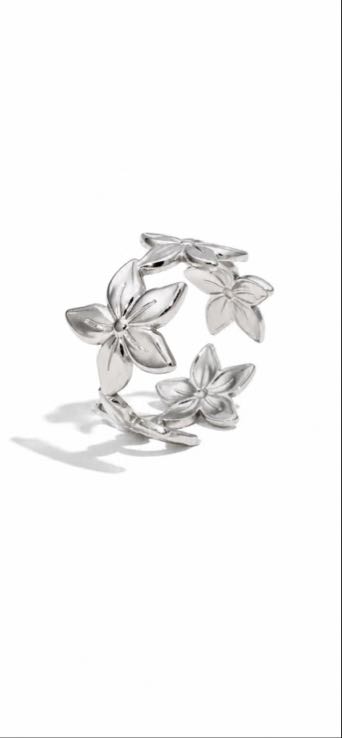 Nova ring zilver