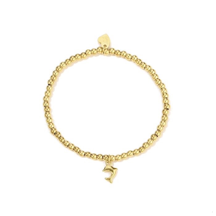 Dolfijnen armband