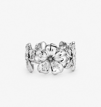 Nova ring zilver