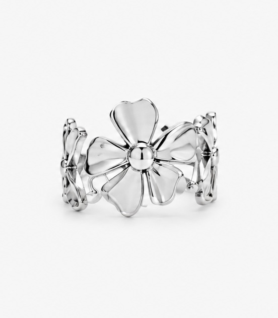 Nova ring zilver
