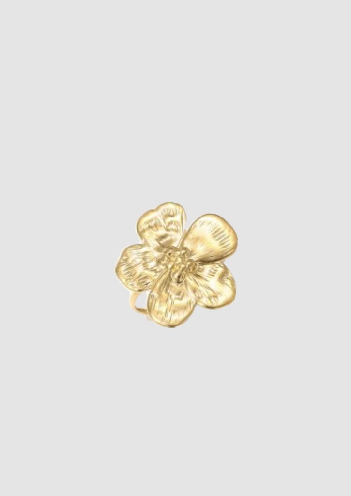 Nova ring goud