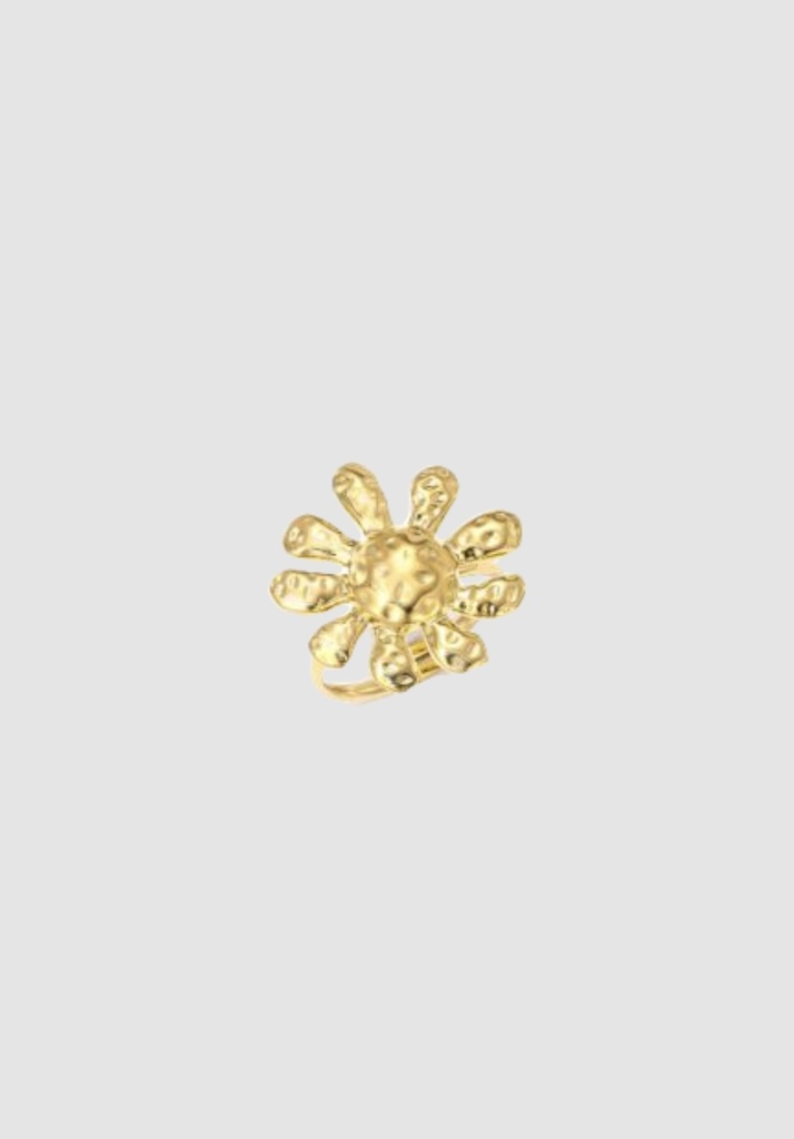 Nova ring goud